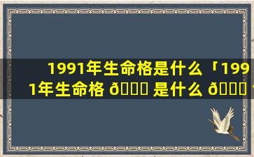 1991年生命格是什么「1991年生命格 🐕 是什么 🐒 命格」